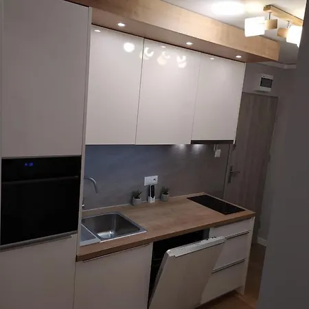 Przytulne W Poblizu Szpitala Uniwersyteckiego Prokocim Apartment *