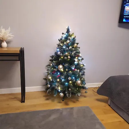 Przytulne W Poblizu Szpitala Uniwersyteckiego Prokocim Apartment Krakow